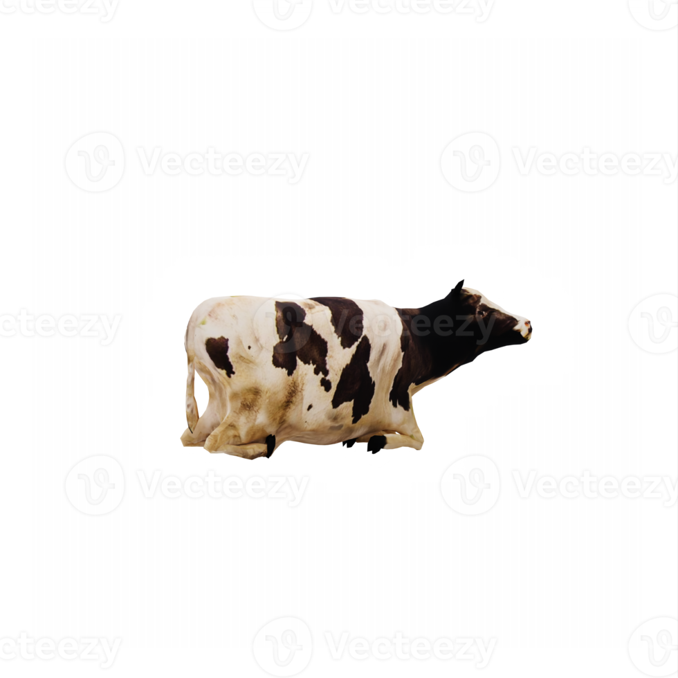 3d cows isolated png