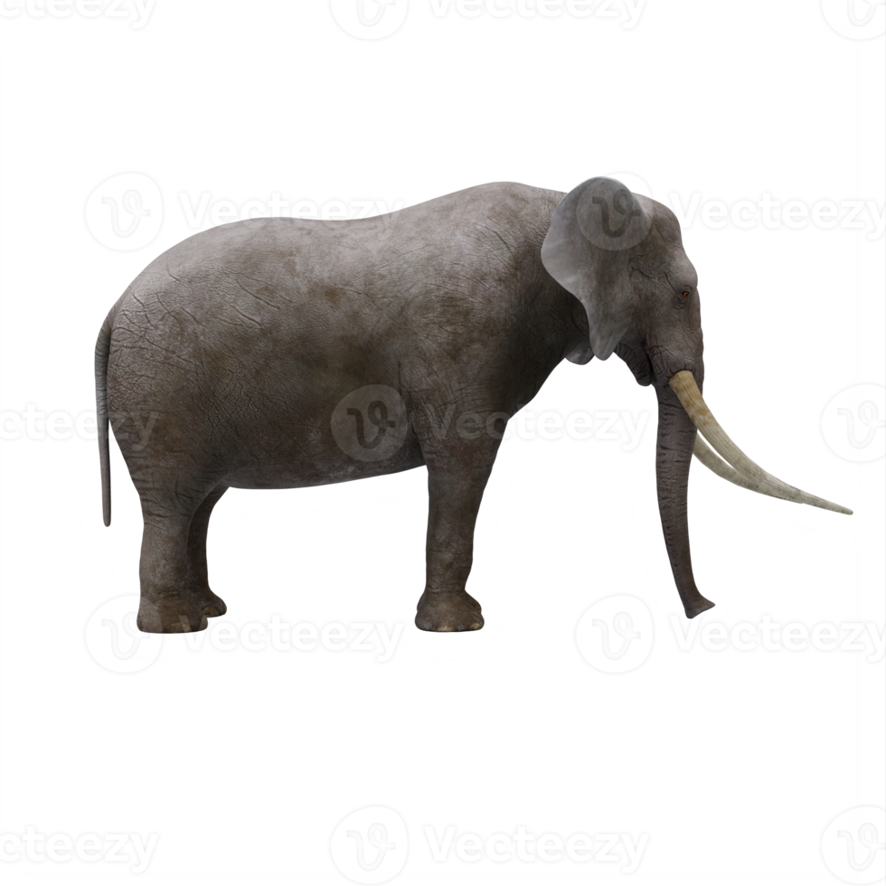 3D-Elefant isoliert png