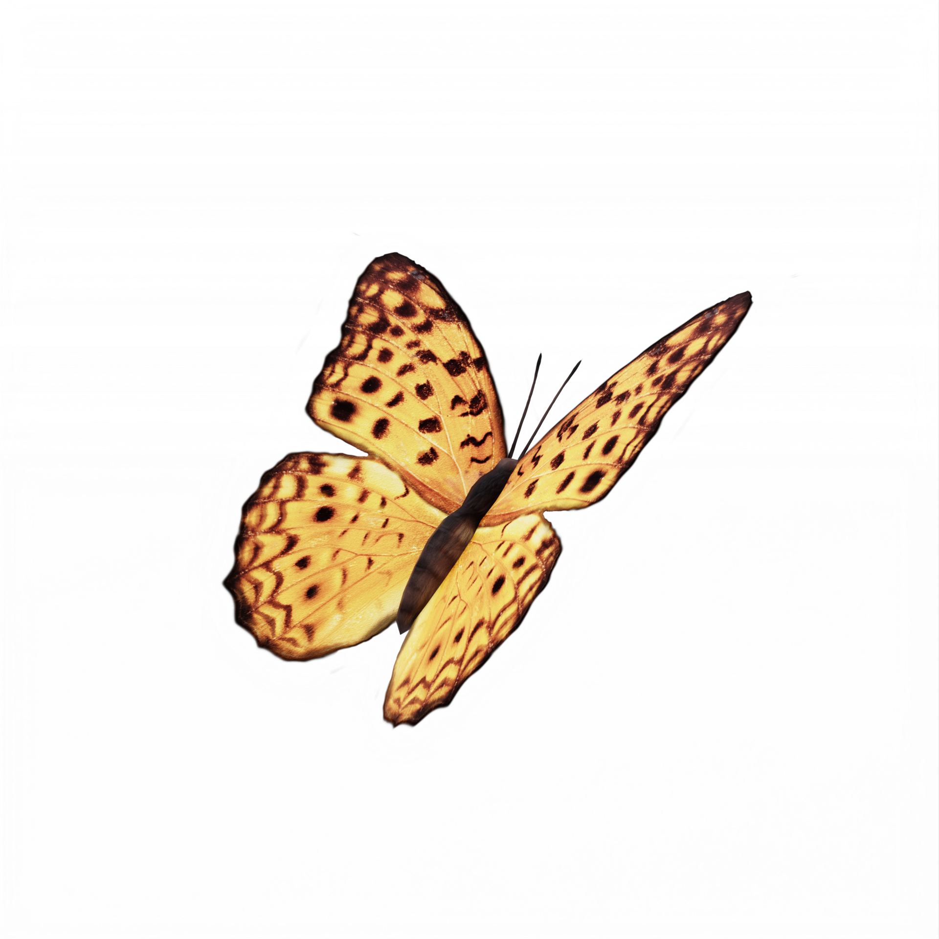 Free 3d Butterfly isolated 18753699 PNG with Transparent Background