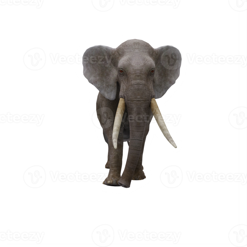 3D-Elefant isoliert png