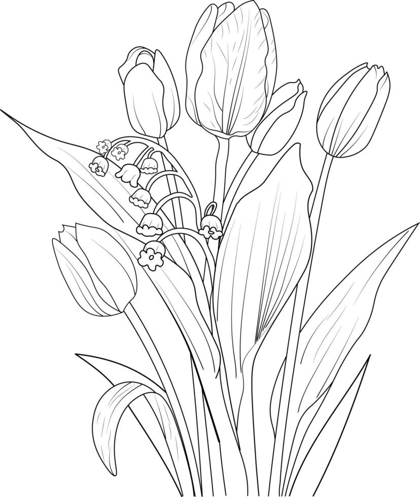 esbozar la ilustración de las flores de tulipán dibujadas a mano aisladas en blanco, flor de primavera y estilo de arte de tinta, jardín botánico. vector