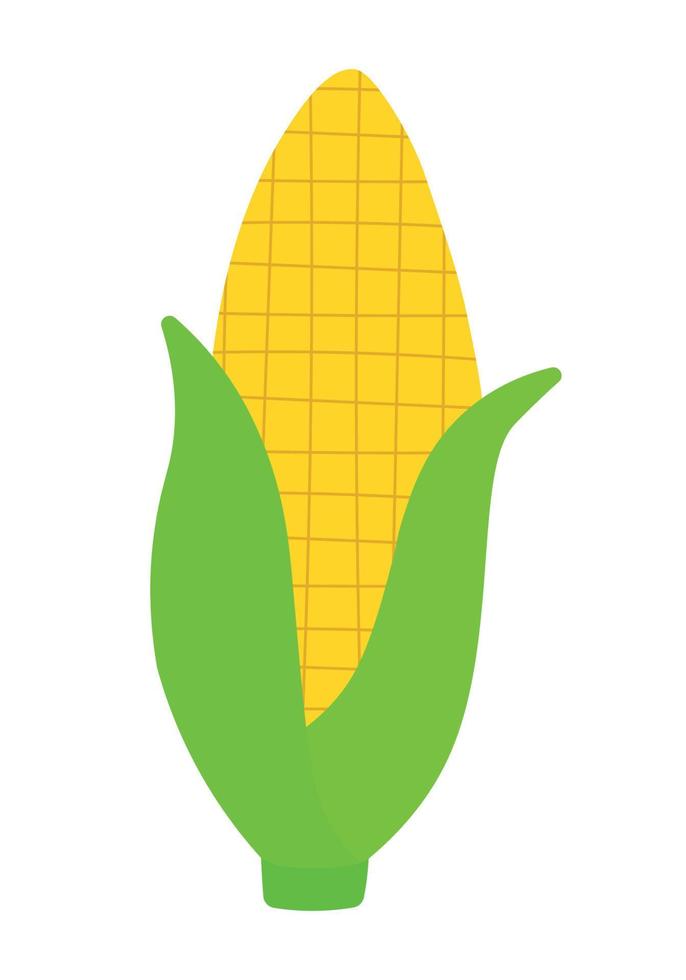 Flat Corn Icon Clipart Vegetable Cartoon Animated Vector Graphic Illustration