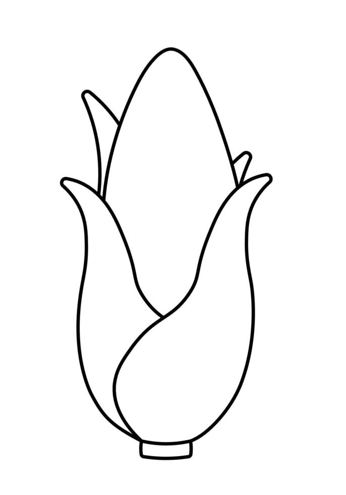 línea negra maíz para colorear página vegetal vector ilustración imagen sobre fondo blanco para niños en edad preescolar libro de actividades