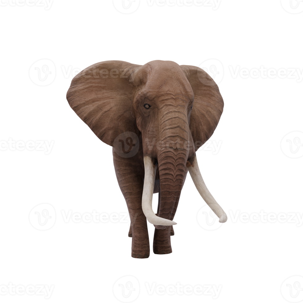 elefante africano 3d aislado png