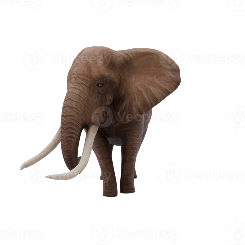 3d africano elefante isolato png