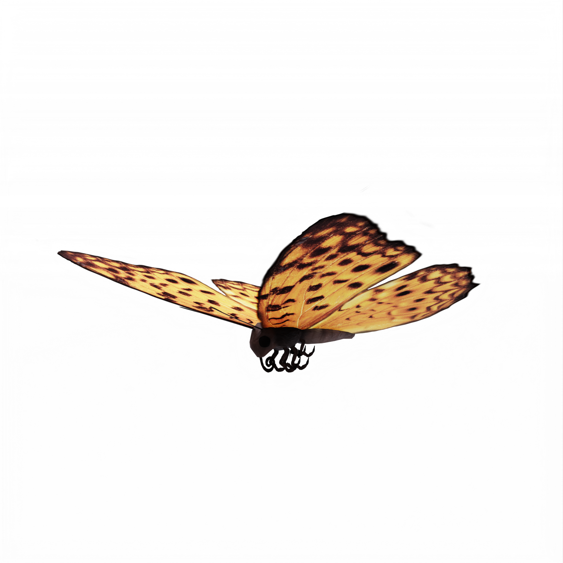Free 3d Butterfly isolated 18753875 PNG with Transparent Background
