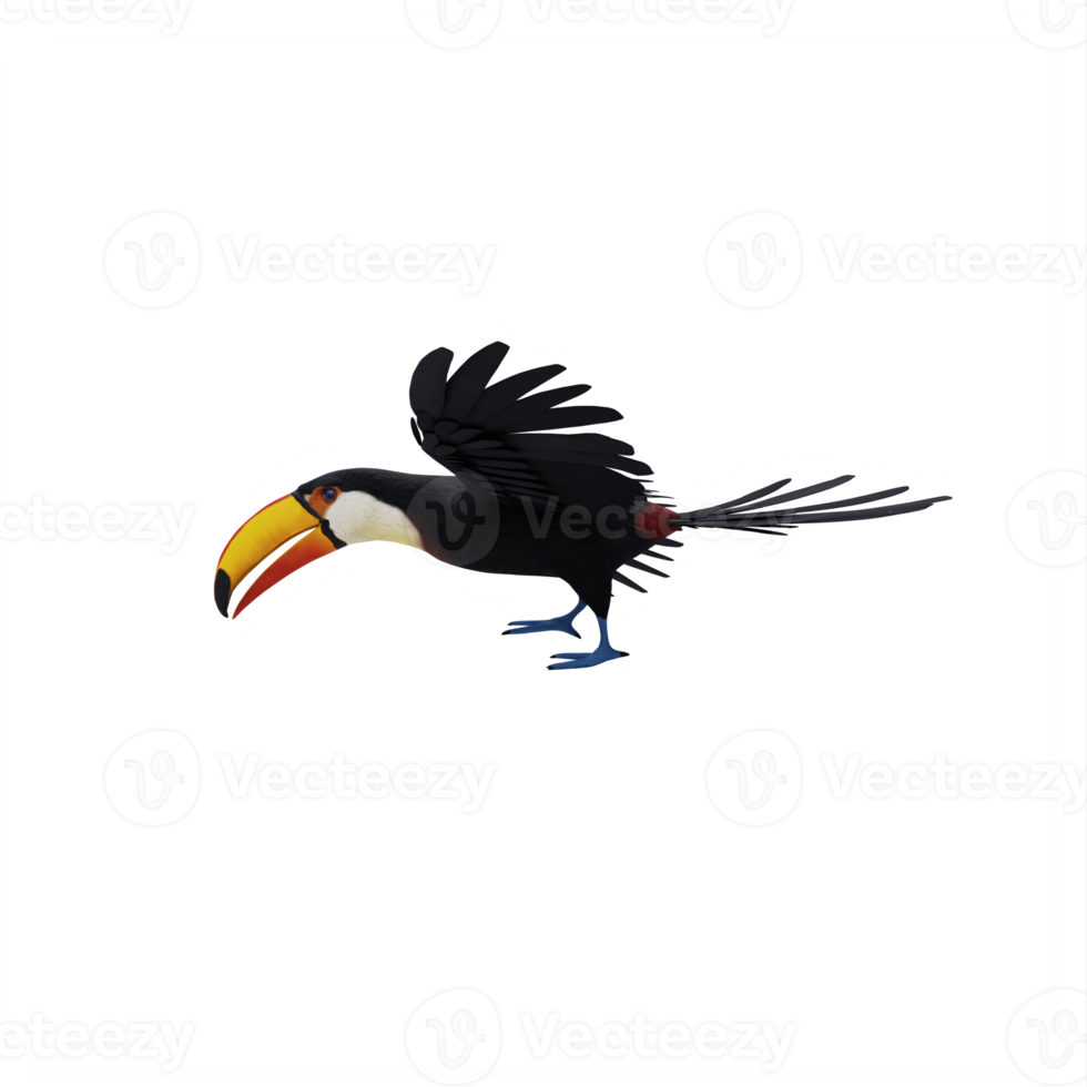 3d toekan vogel geïsoleerd png