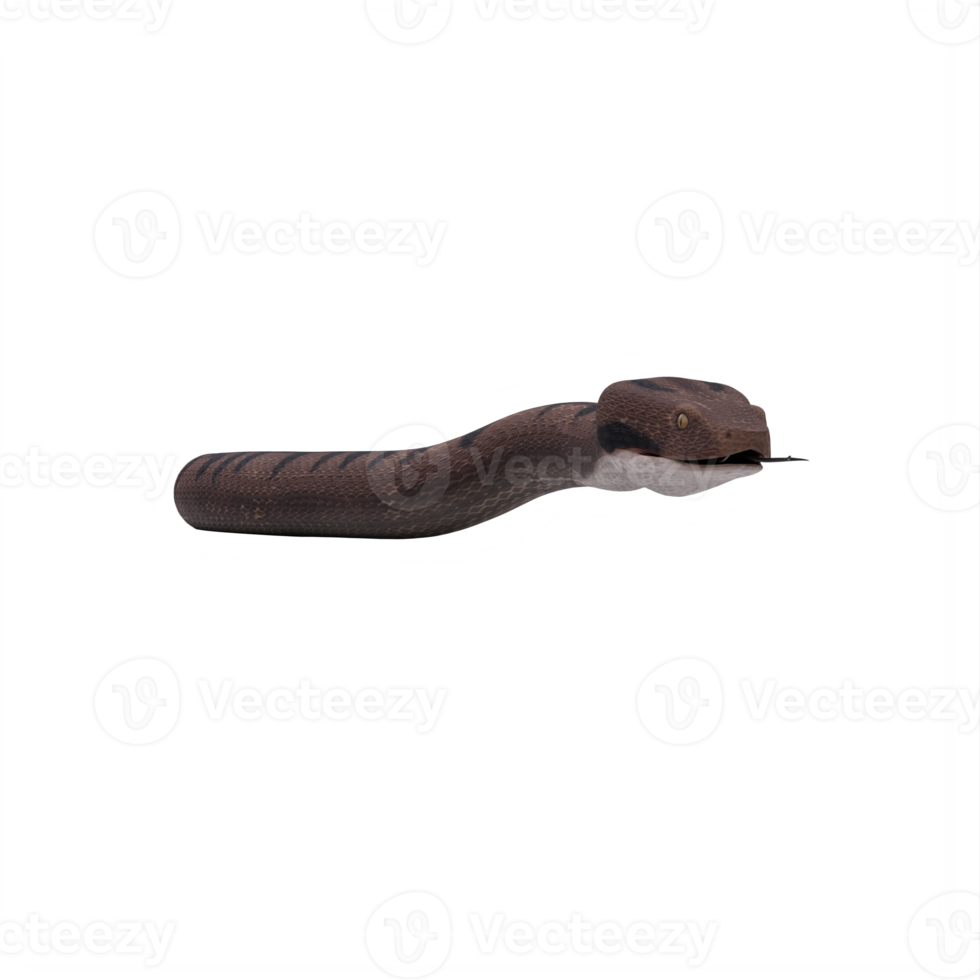 3d viper snake isolated png