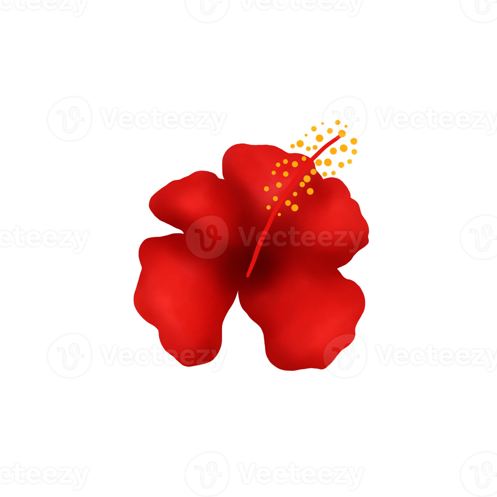 Watercolor Hibiscus Flower Illustration 18754193 PNG