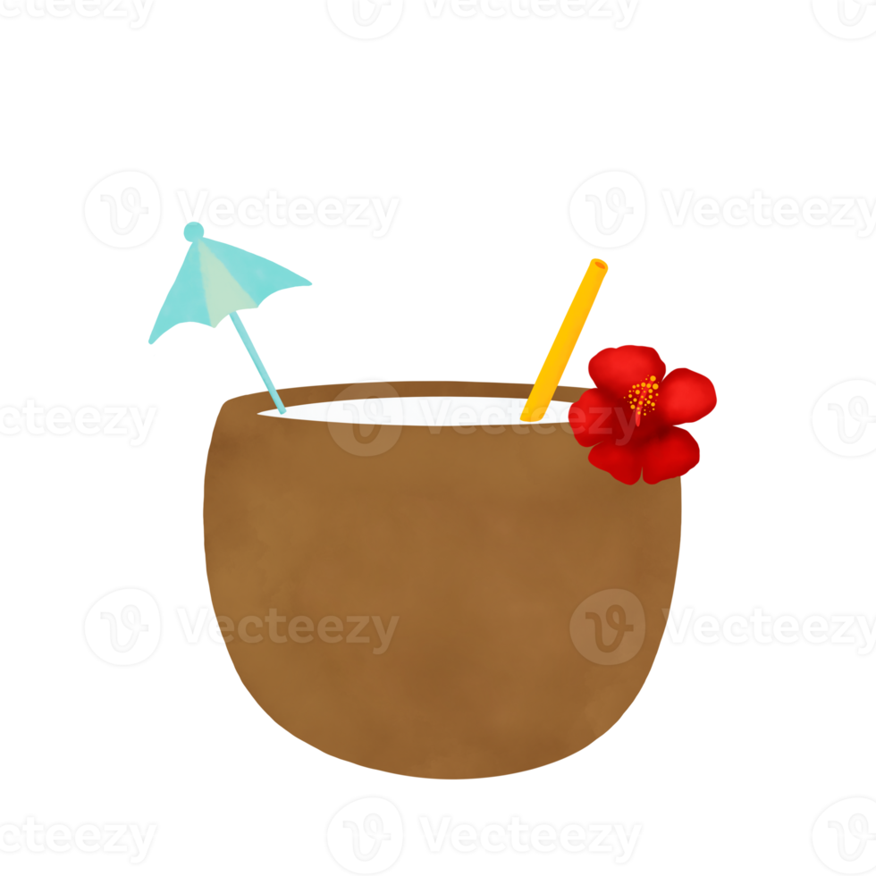 Coconut Juice Illustration png