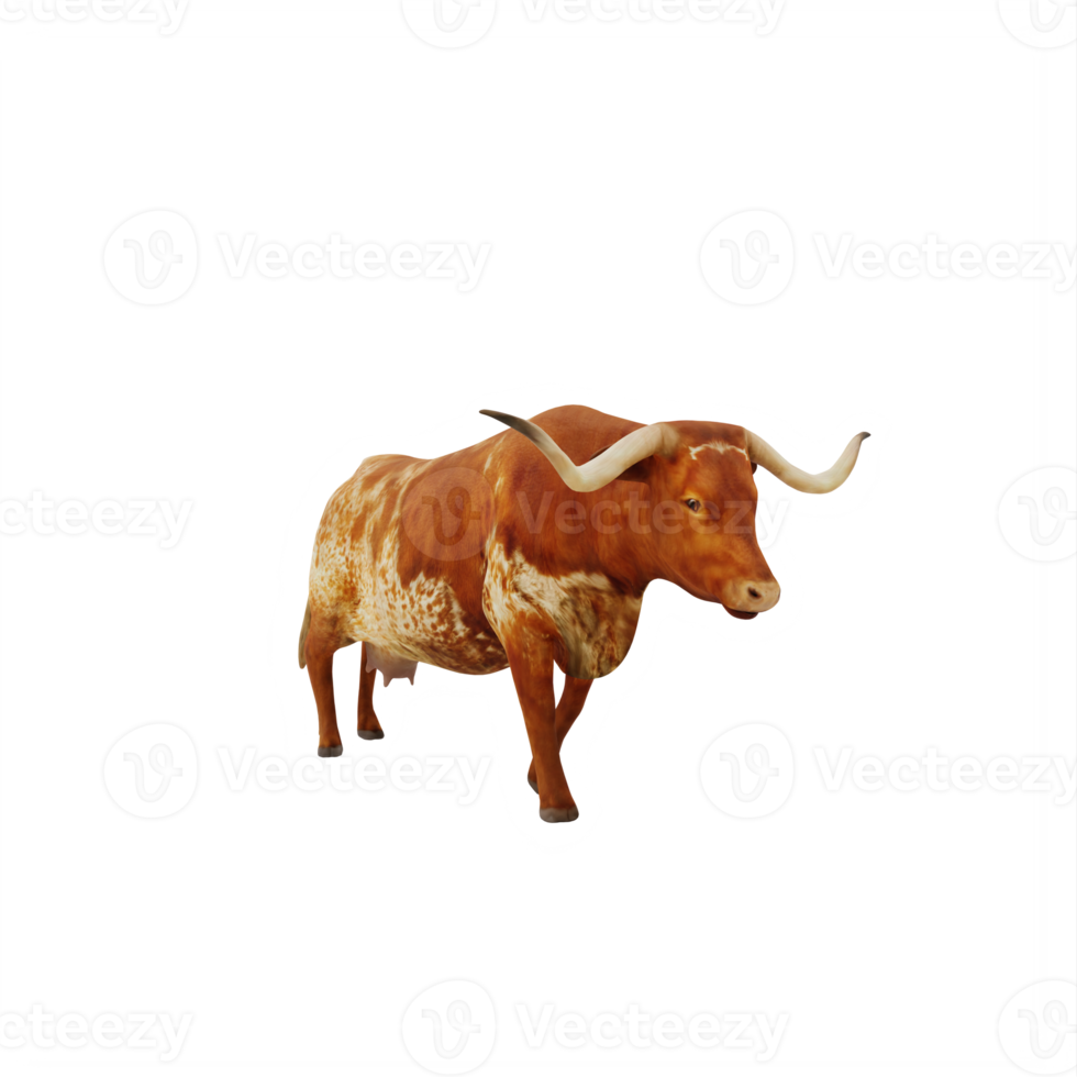 Texas Longhorn cattle isolated png