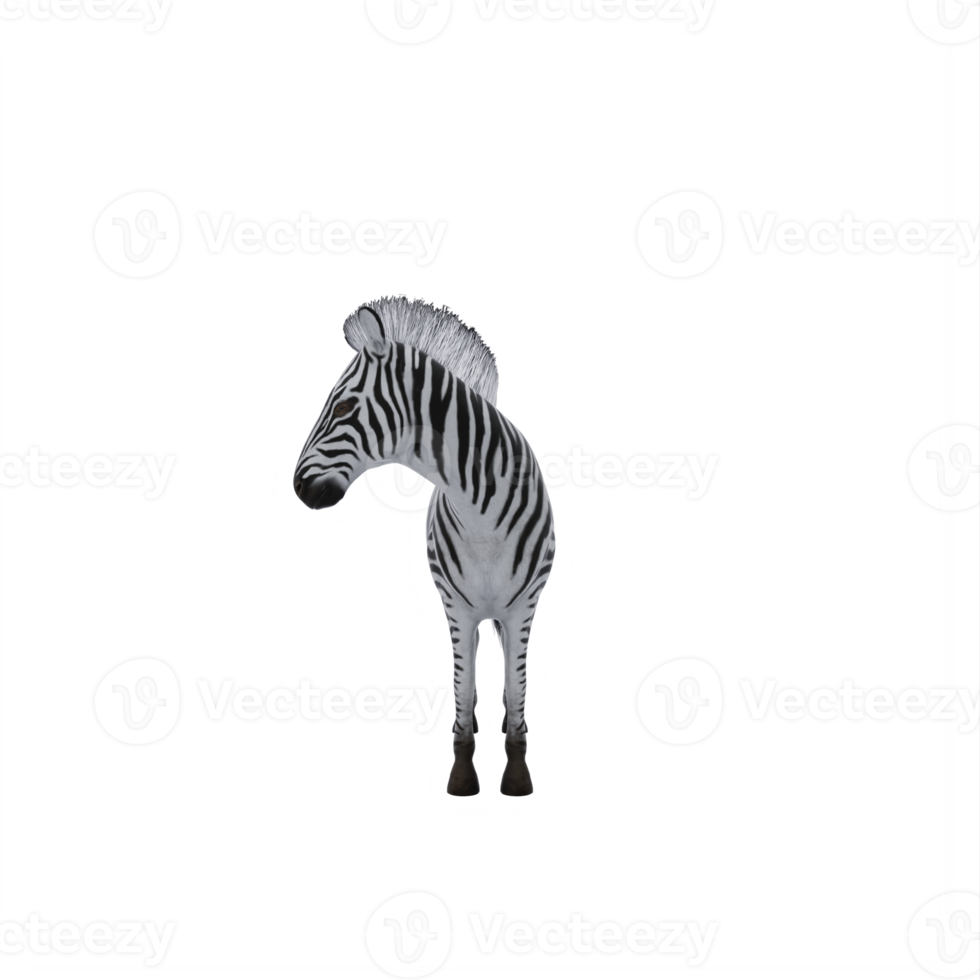 3D-Zebra isoliert png