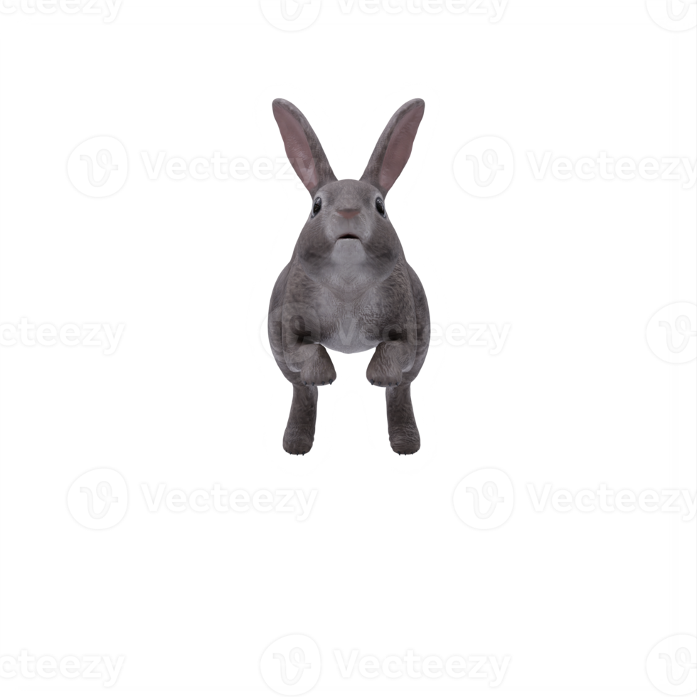 3d wild rabbit isolated png