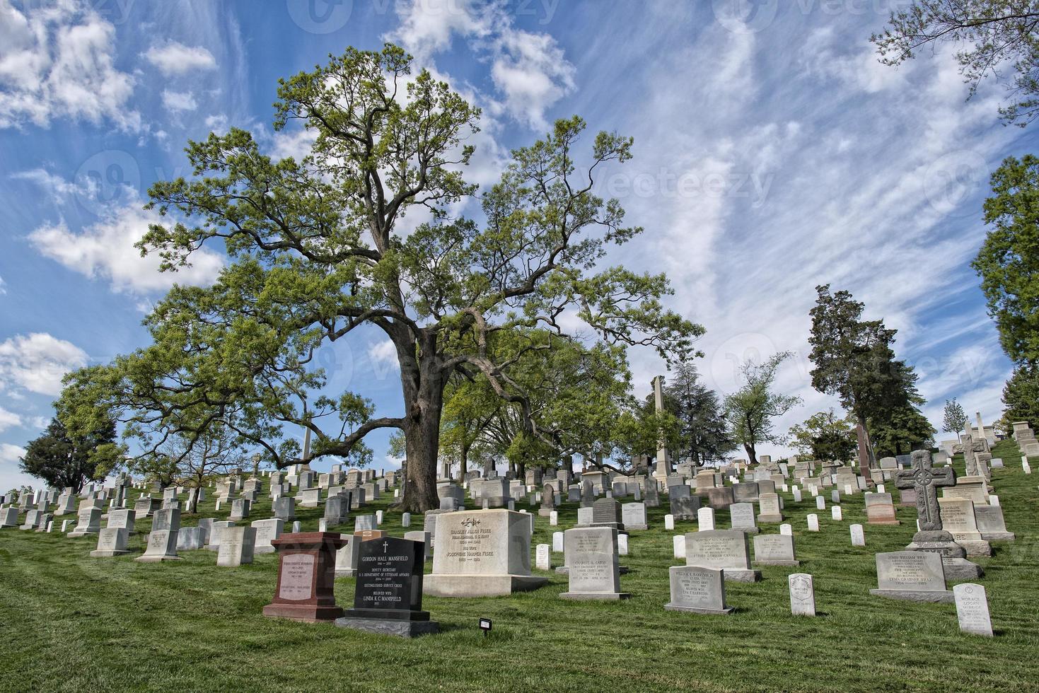 cementerio de arlington cementerio foto