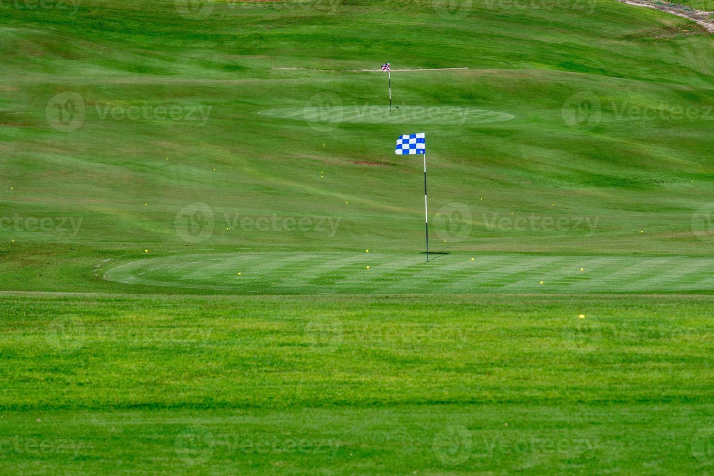 desert golf course green photo