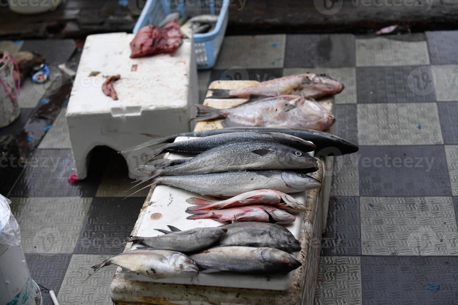 macho, maldivas - 4 de marzo de 2017 - gente comprando en el mercado de pescado foto