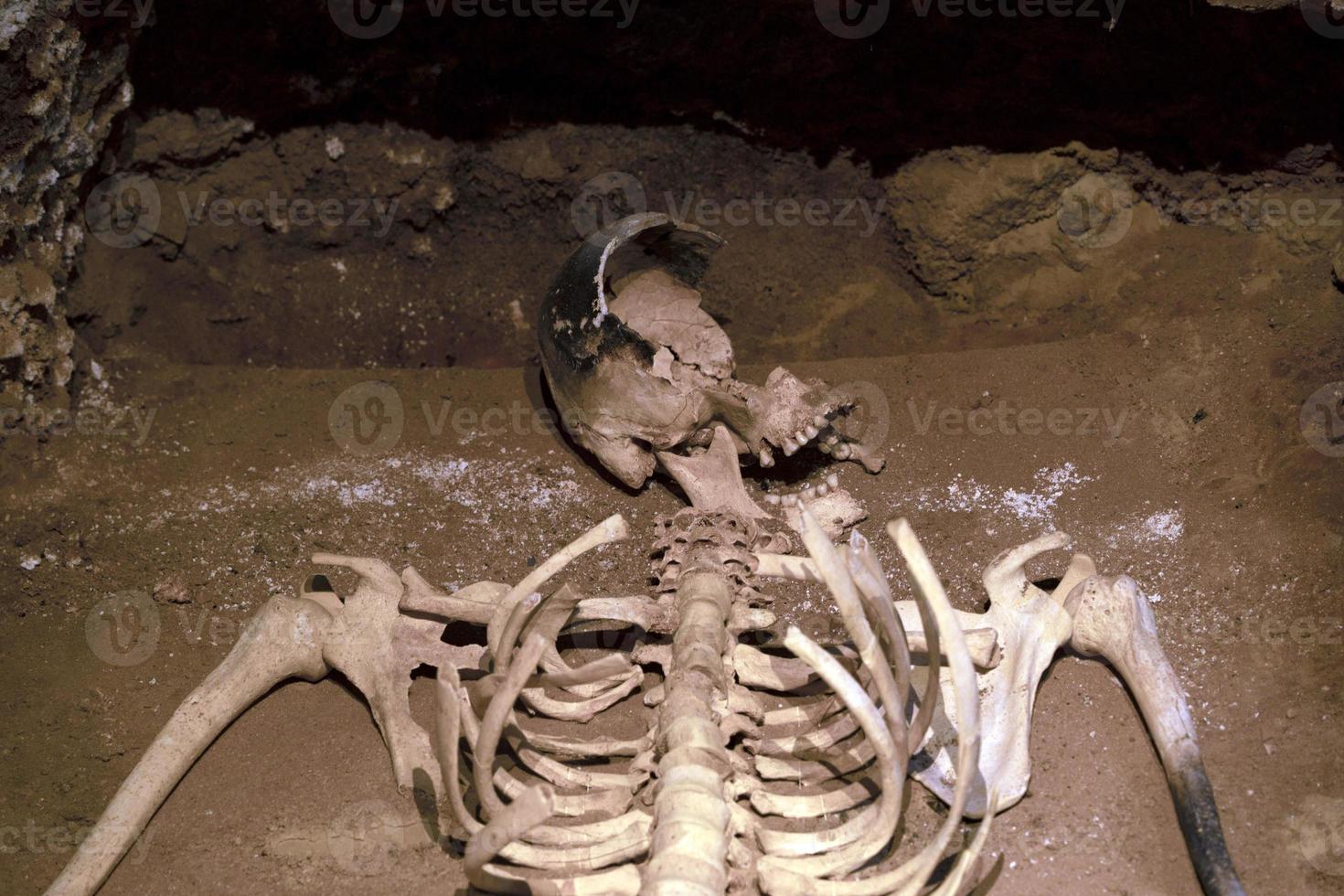 Human skeleton sjull and bones in a tomb photo