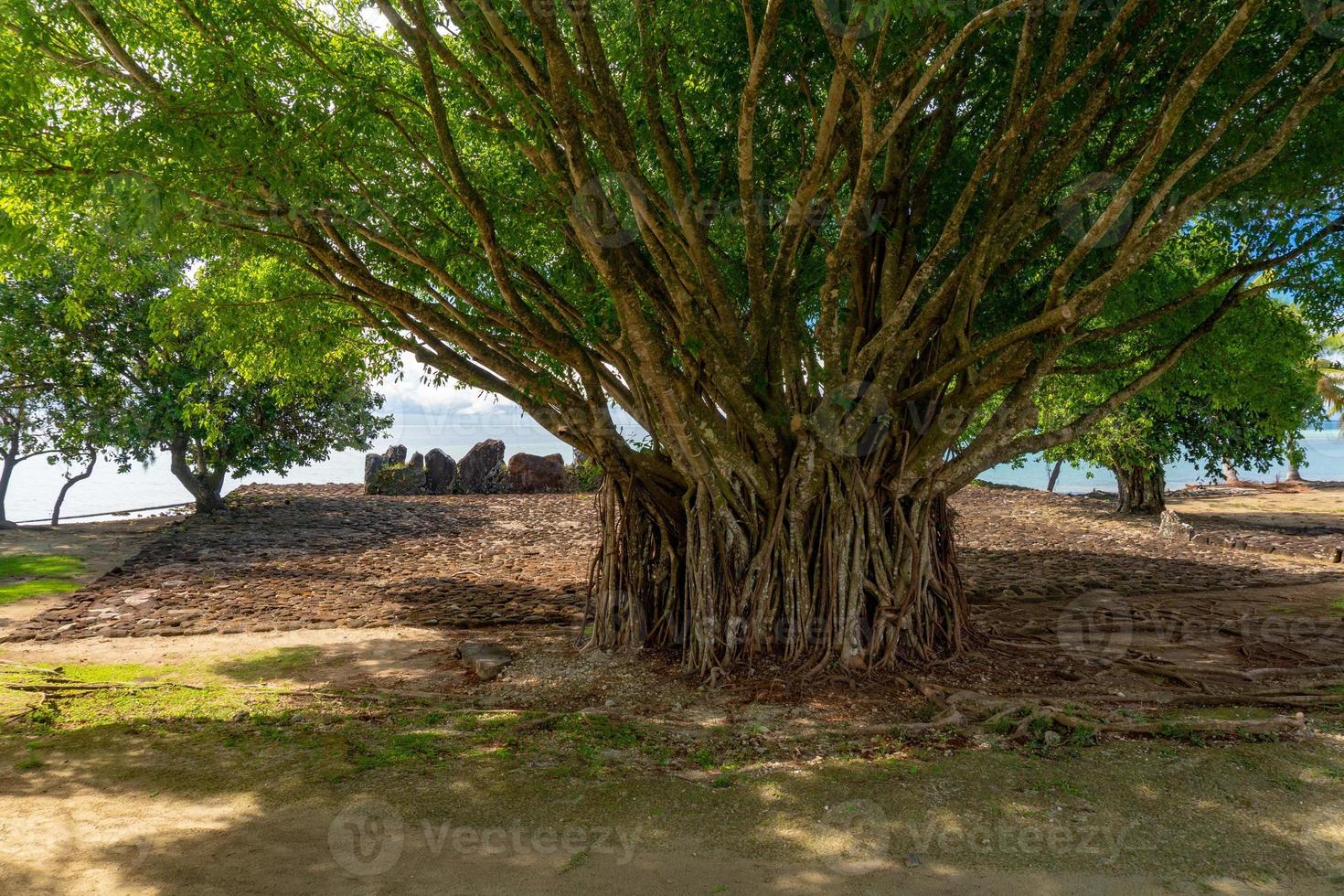 Taputapuatea Marae of Raiatea French polynesia Unesco archeological site photo