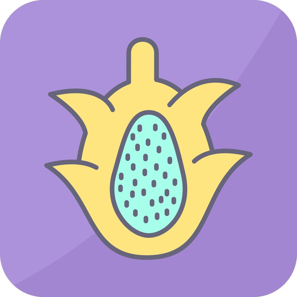 Dragon Fruit Vector Icon