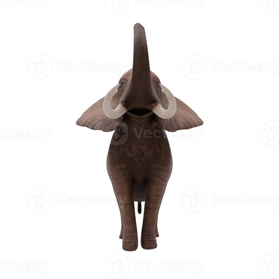 3d african Elephant isolated png