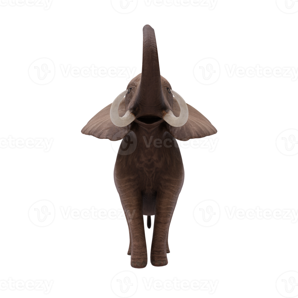 3d africano elefante isolato png