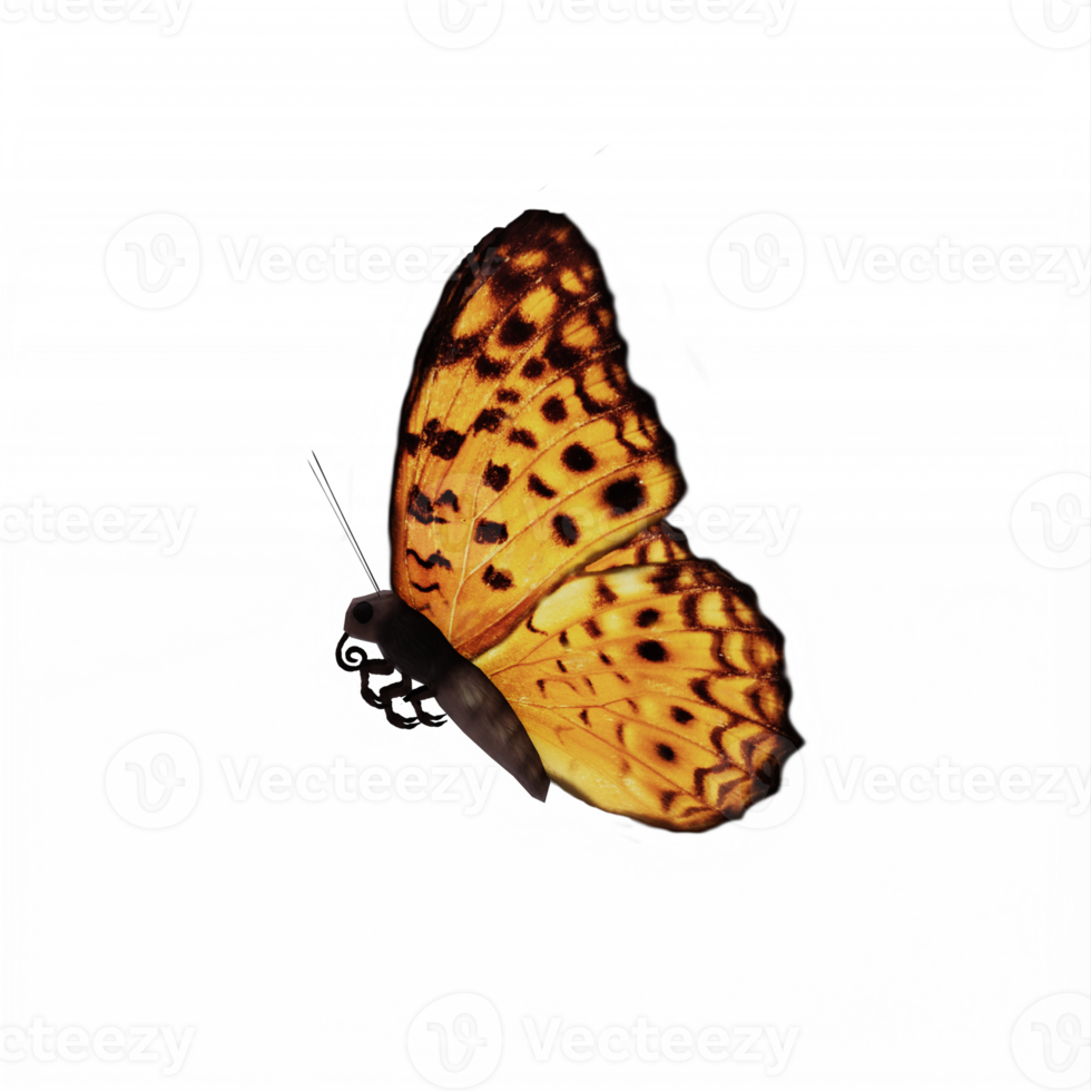 3D-Schmetterling isoliert png