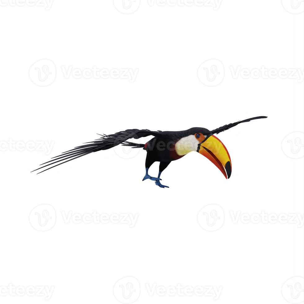 3d toucan bird isolated png