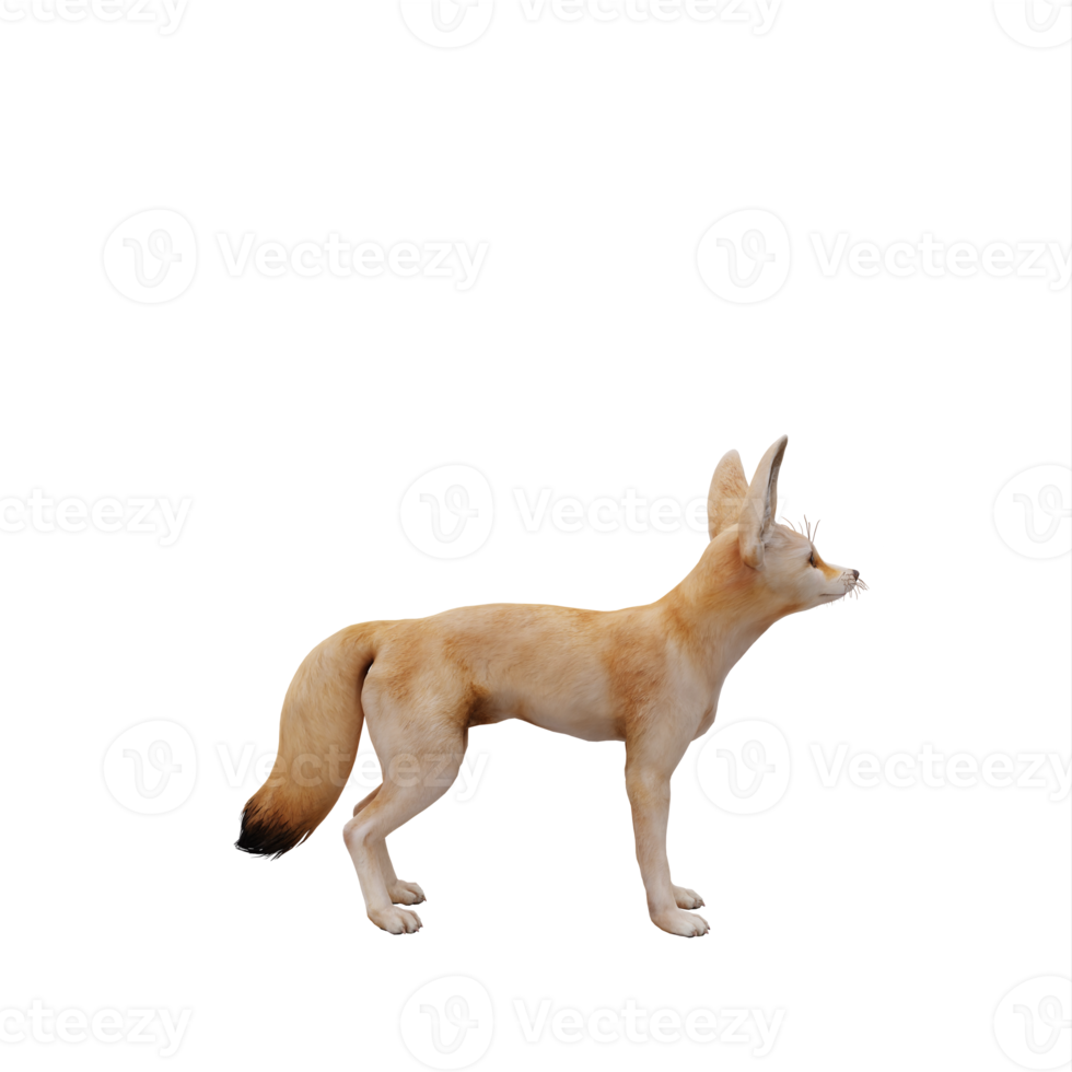 3d fox isolated png