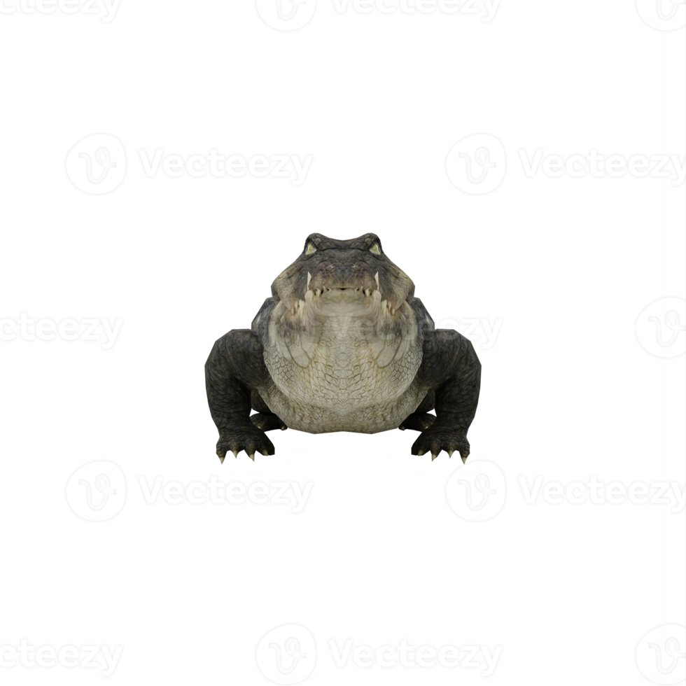 crocodilo 3d isolado png