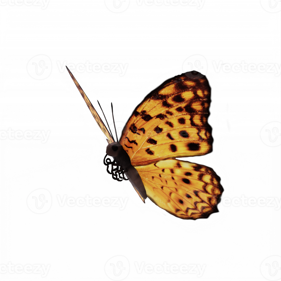 3d Butterfly isolated png