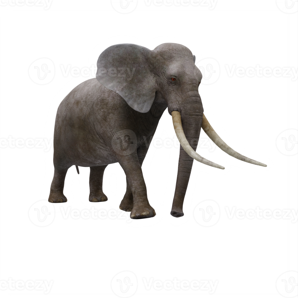 elefante 3d aislado png