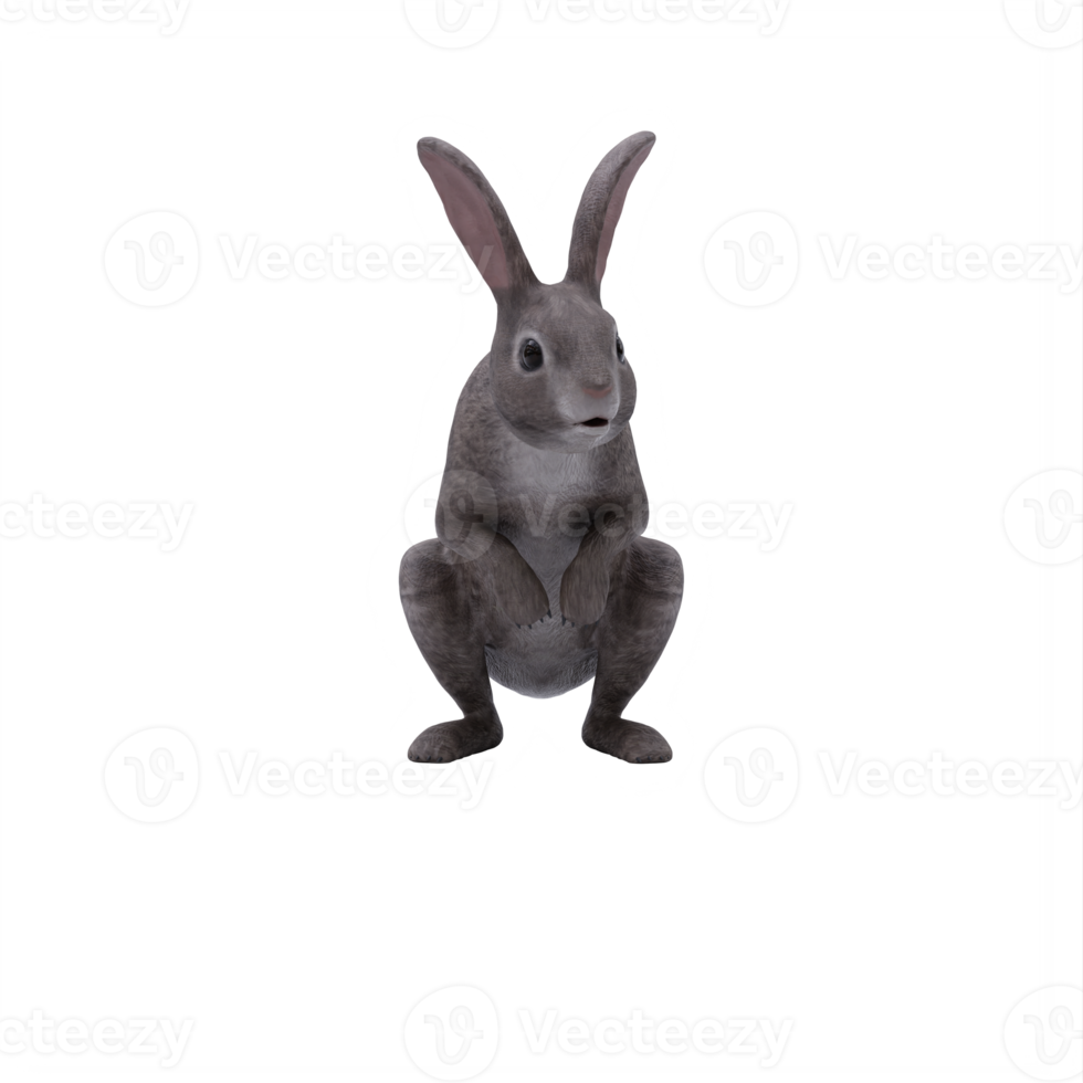 3d wild rabbit isolated png