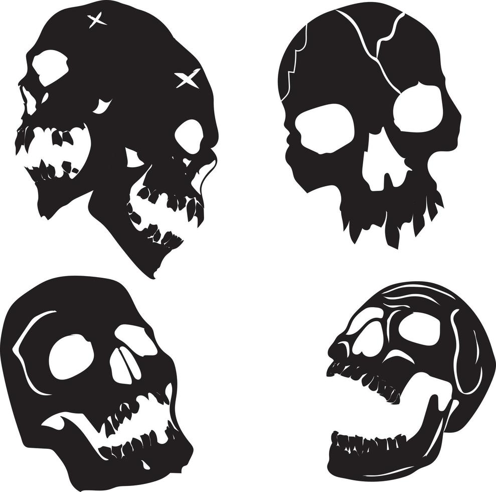 human skull vector
