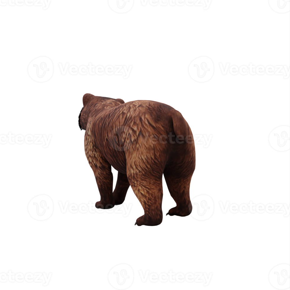 urso 3d isolado png