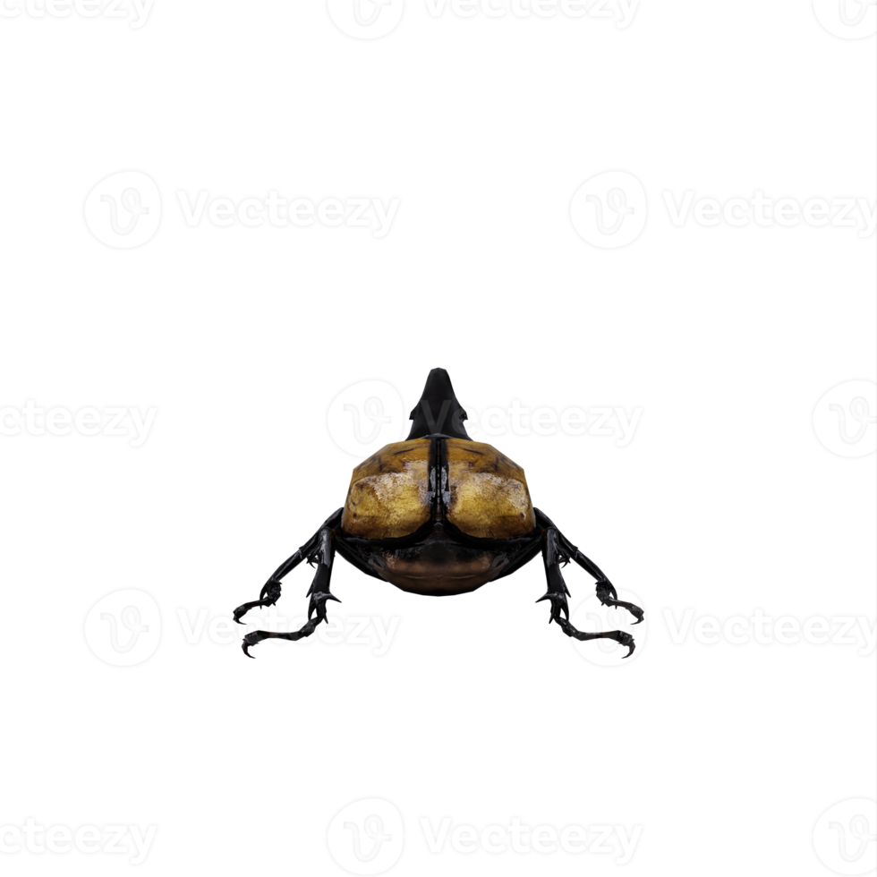 3d Dynastes Hercules png