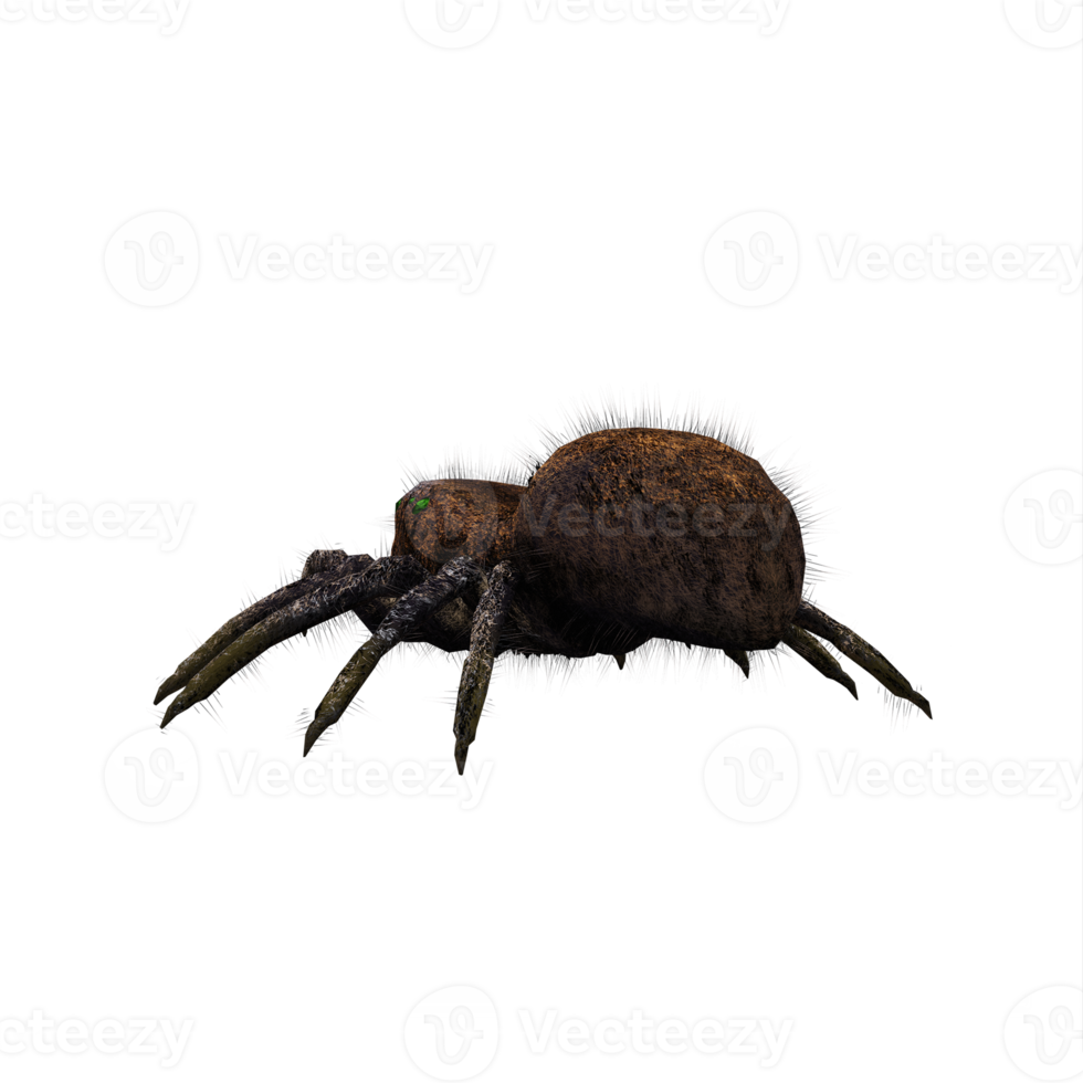 3d Springspinne isoliert png