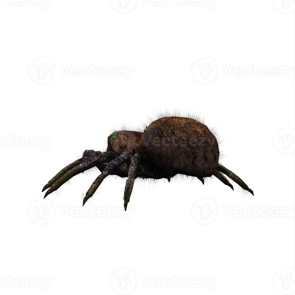 3d jumping spider isolated png