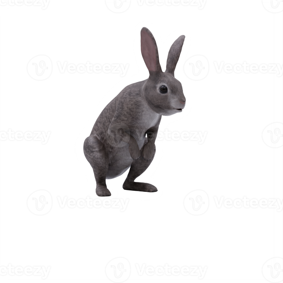 3d wild rabbit isolated png