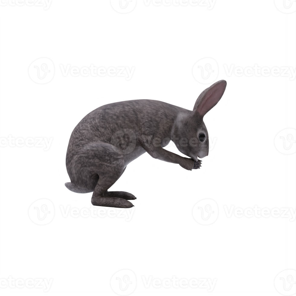 3d wild rabbit isolated png