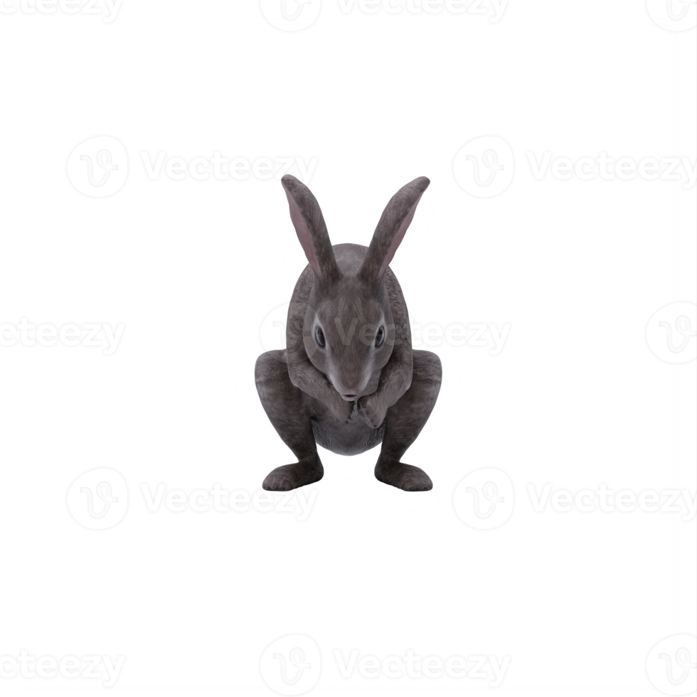 3d wild rabbit isolated png