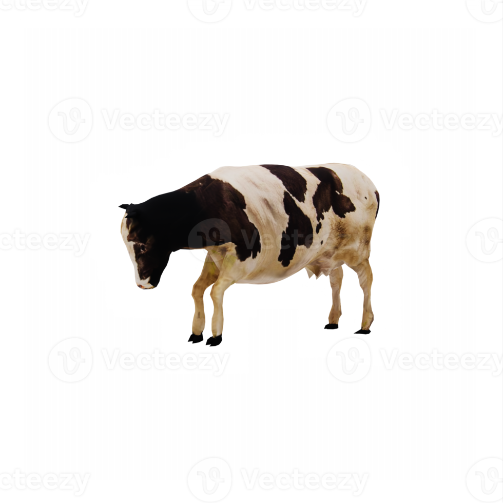 3d cows isolated png