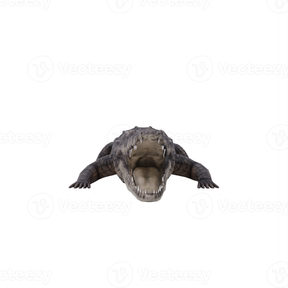 3d African crocodile isolated png