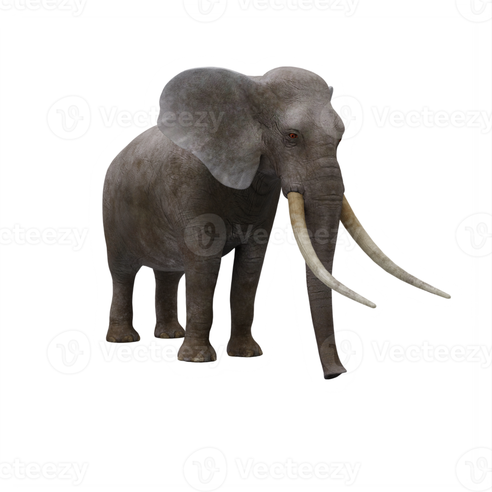 elefante 3d aislado png