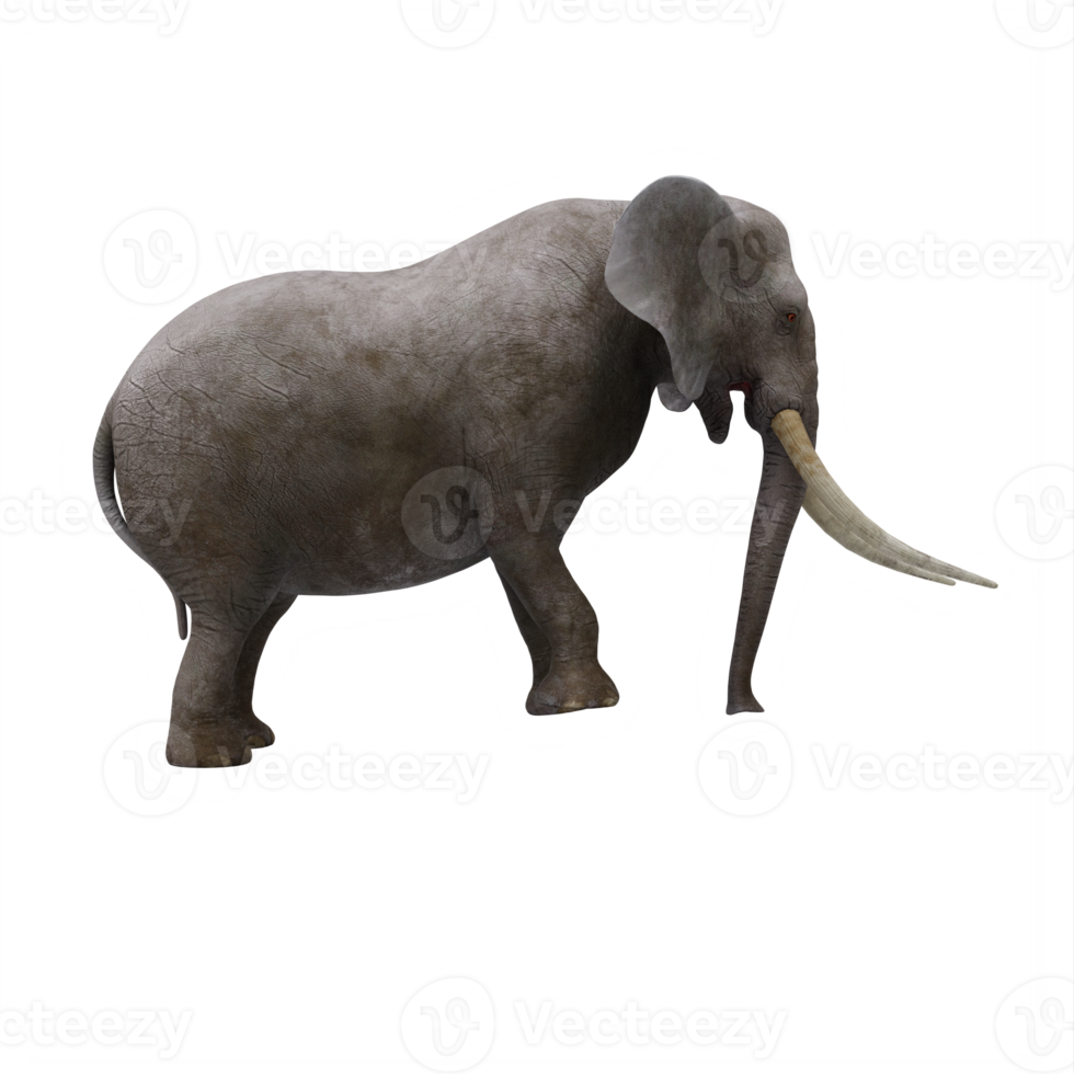 3d Elephant isolated png