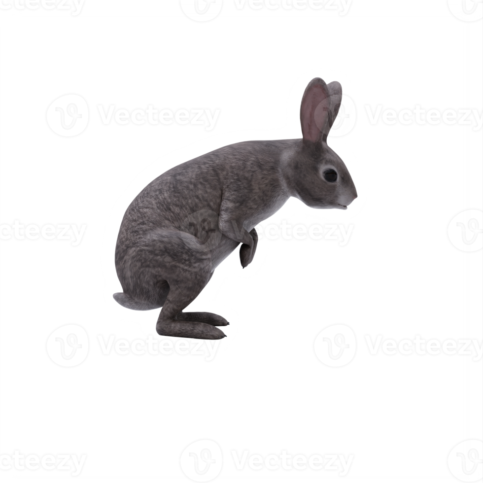 3d wild rabbit isolated png