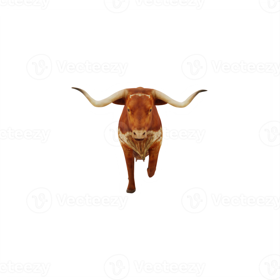 Texas Longhorn cattle isolated png