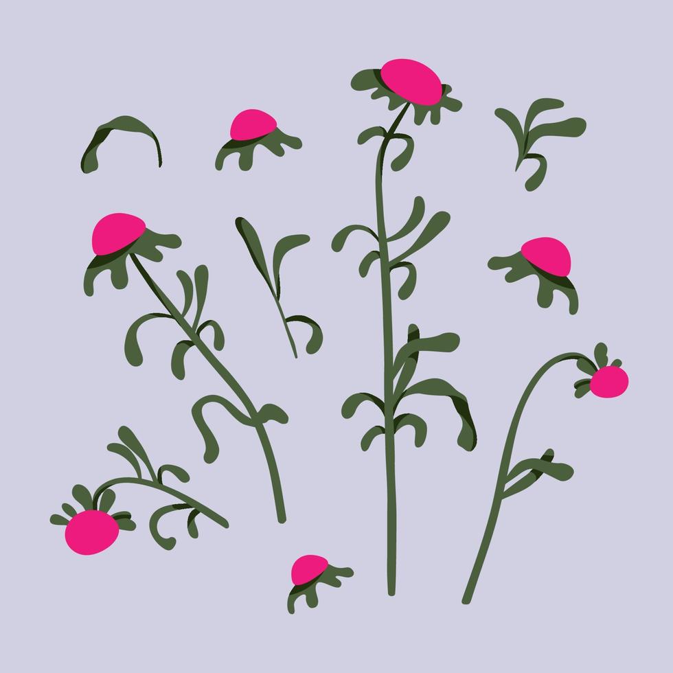 Flower branch, bloom and leaves set. Hand drawn floral illustration. Home decor concept. Modern flat drawing for logo, pattern, web and app design. vector