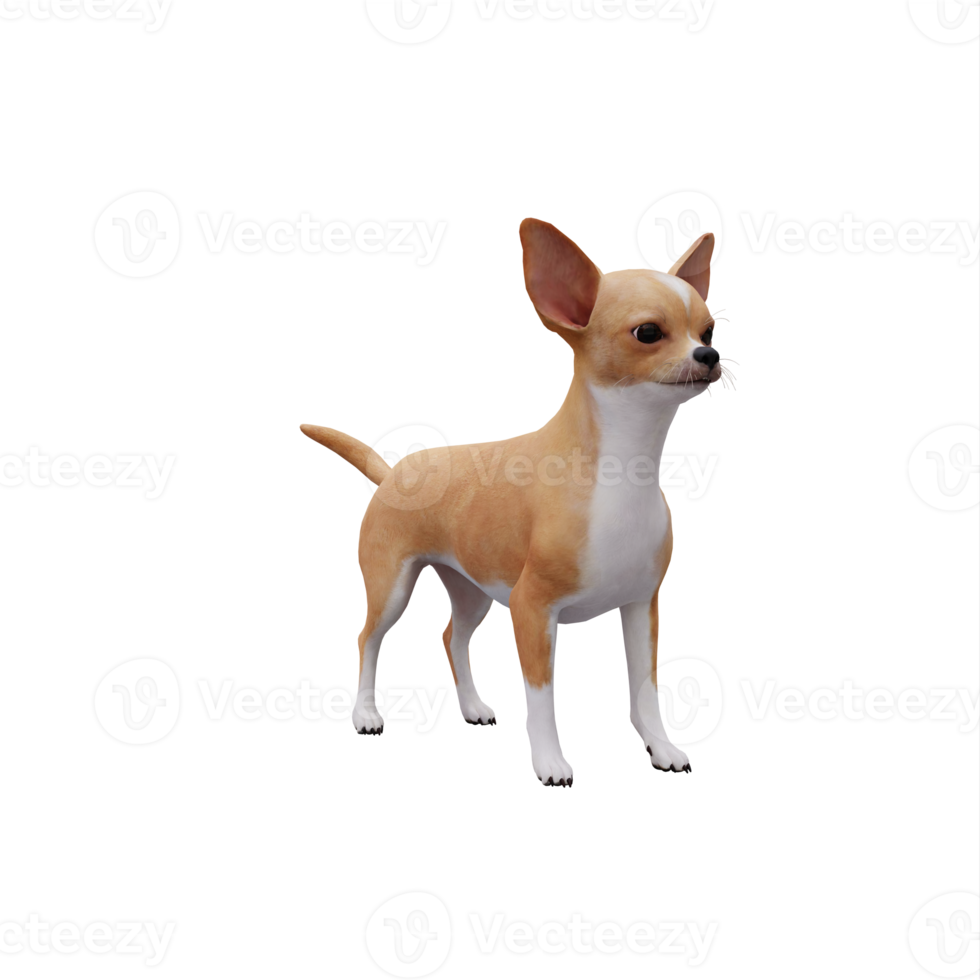 chihuahua 3d aislado png