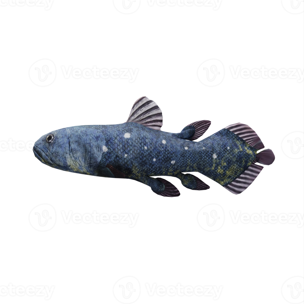 3d Coelacant Fish png