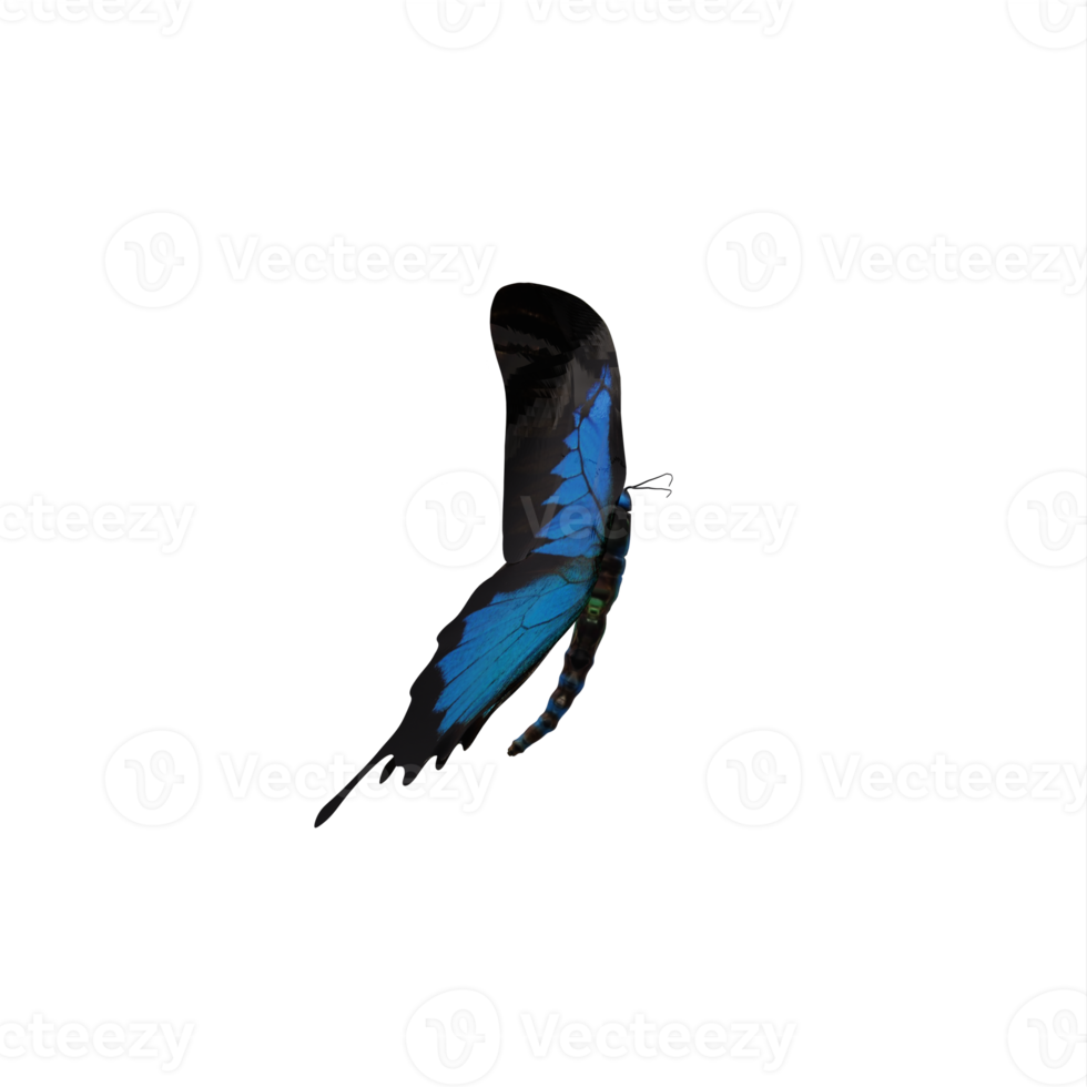 3d cobalt blue butterfly isolated png